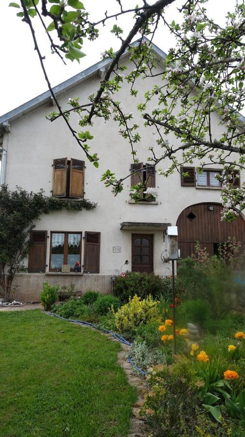 Bed and Breakfast Le Jardin Des Secrets La Voivre  Exteriér fotografie
